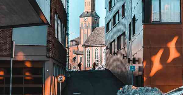 公司活动的组织和策划