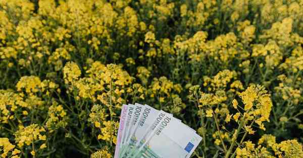 股票交易活动策划公司