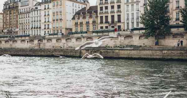 江西推广活动策划有限公司