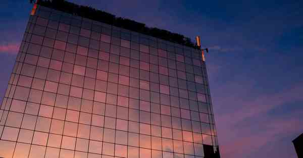 运动会活动心得_运动会活动心得100字