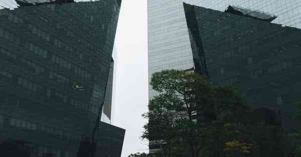 大型活动策划公司电话清远