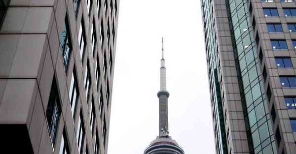 文化活动策划公司成员