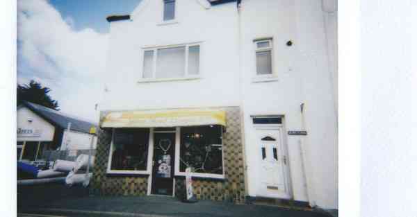 线上读书活动策划方案公司