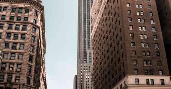 策划公司活动感悟怎么写