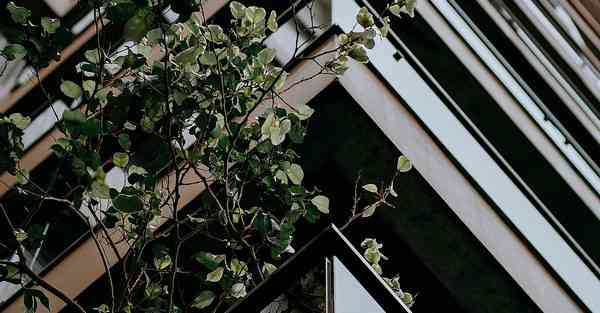 镇江设计公司组织活动策划