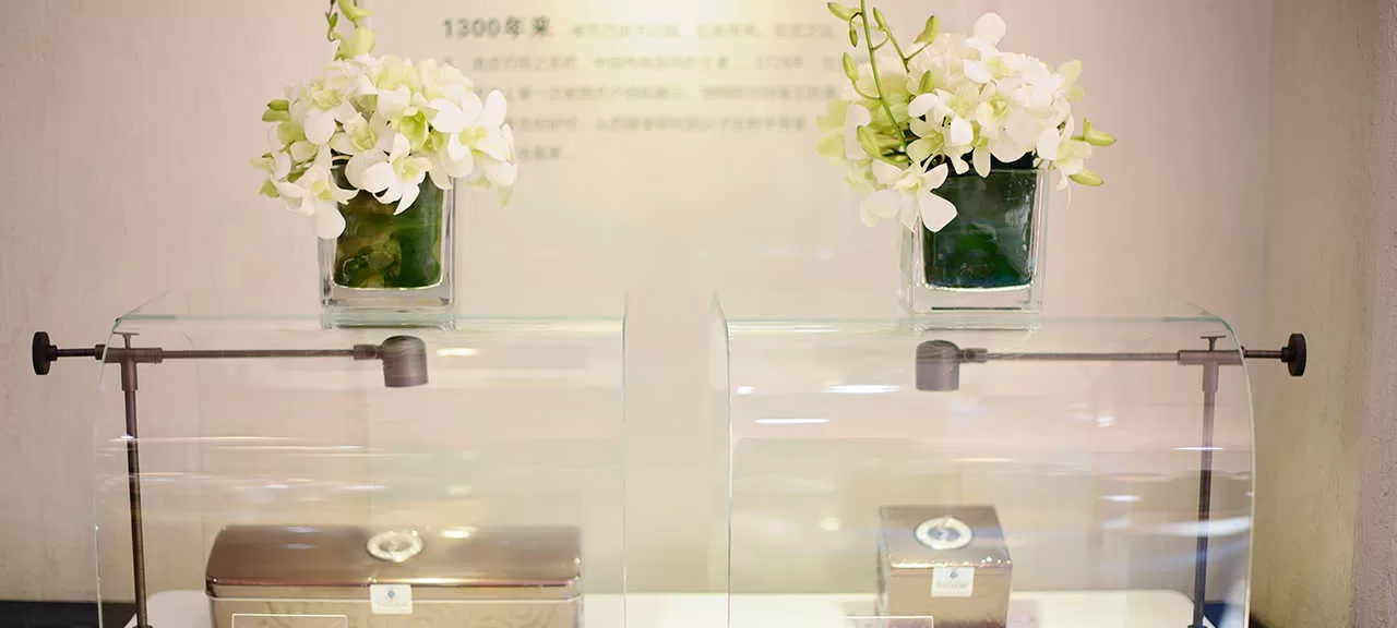 虫草5X活动(图2)